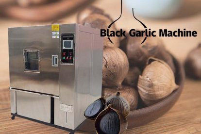 Black Garlic Fermentation Machine (2)