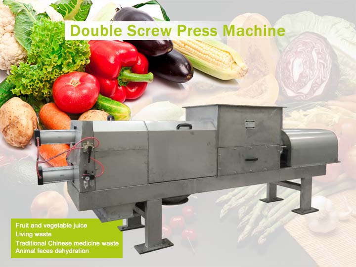 Double Screw Press Machine