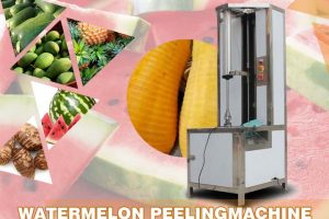 Main Picture Of Watermelon Peeling Machine