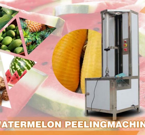 Imagen principal de la máquina peladora de sandías