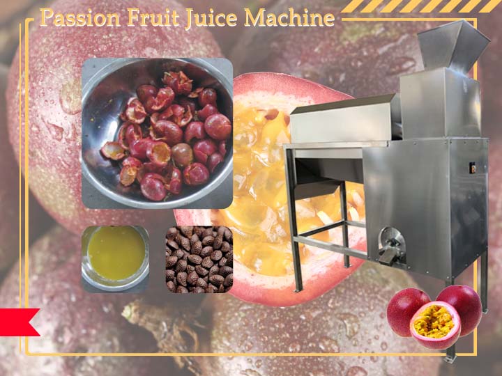 Passion Fruit Juicer