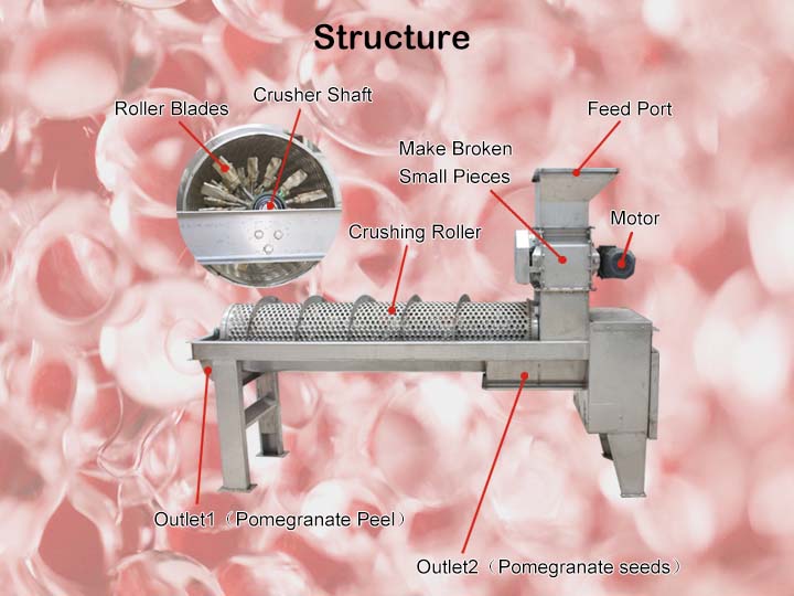 Structure Of The Pomegranate Seed Picker 