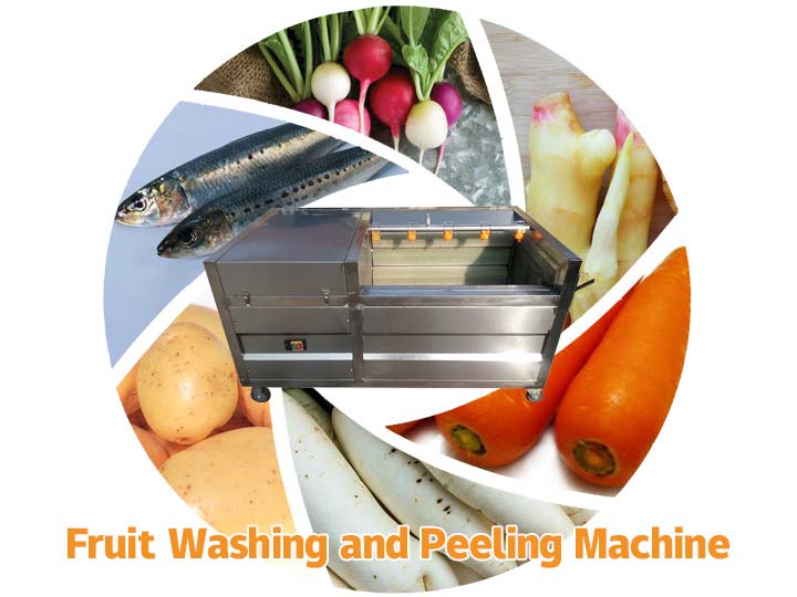 https://static.taizyfoodmachines.com/wp-content/uploads/2019/09/fruit-washing-machine.jpg