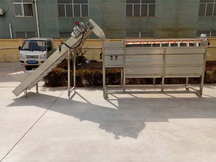 Fruit and vegetable washing machine working principle - Taizy Machinery