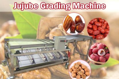 Jujube Grading Machine