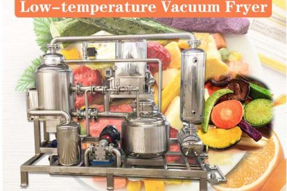 Low-Temperature Vacuum Fryer