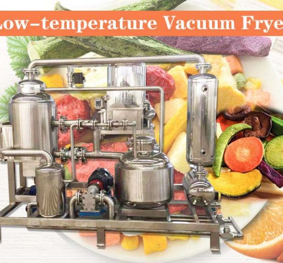 Low-Temperature Vacuum Fryer