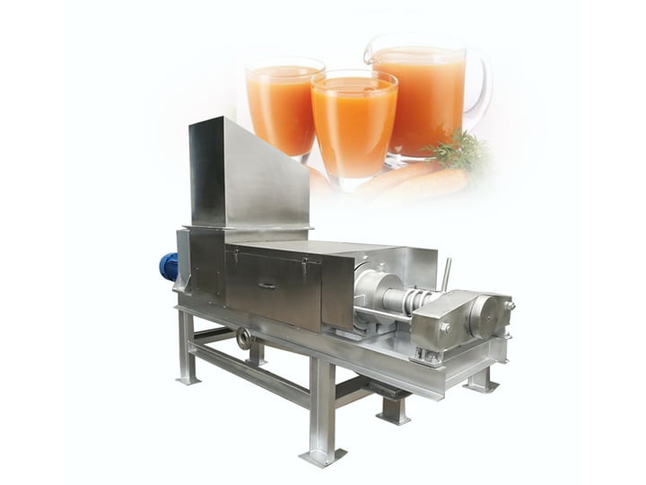 Vegetable Juicer