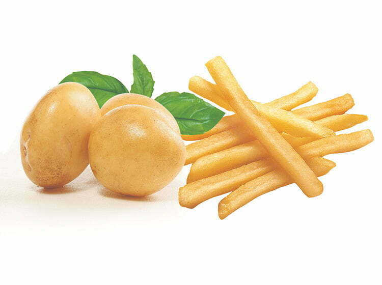 Processamento de batatas fritas