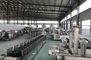 Taizy Frying Machine Factory