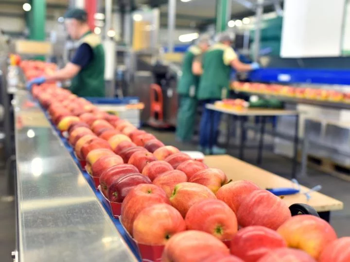 Stérilisation des aliments