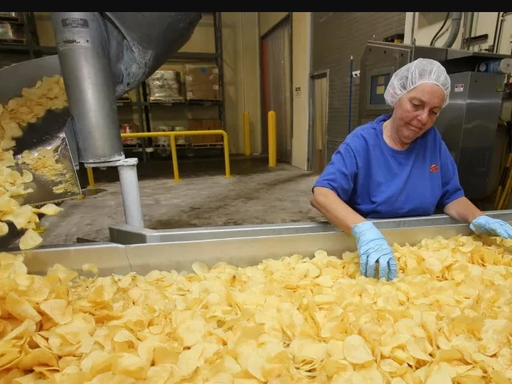 Usine de production de chips de pommes de terre