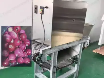 Onion Peeling Equipment For Sale