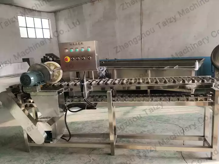 Corn Head And Tail Removing Machine | Corn Cutter Machine 2 Corn Head And Tail Cutting Machine