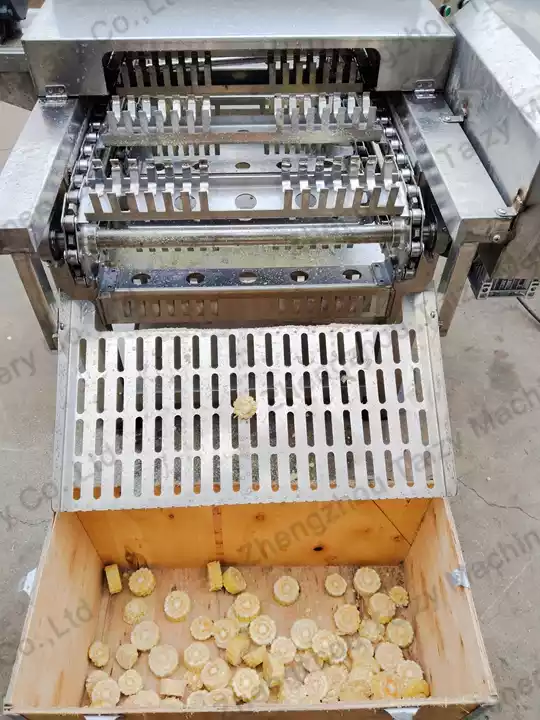 Corn Head And Tail Removing Machine | Corn Cutter Machine 4 Fresh Corn Cutting Machine