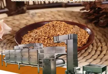 Belt Type Nut Roaster