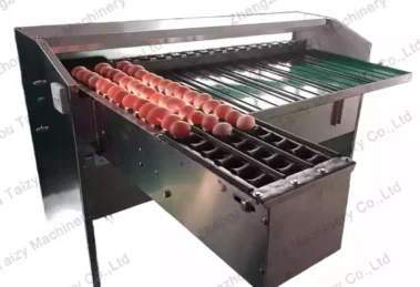 Egg Sorter For Sale
