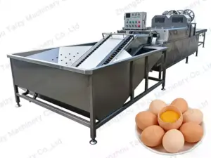 Automatic Egg Washing Machine