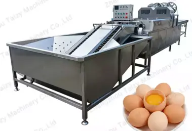 Automatic Egg Washing Machine