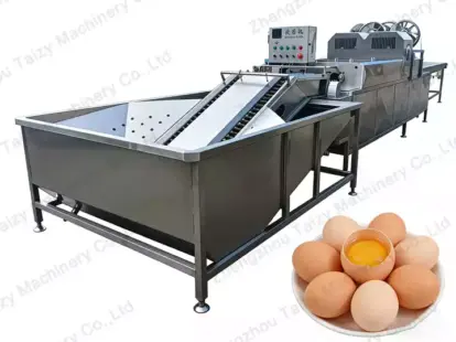 Automatic Egg Washing Machine