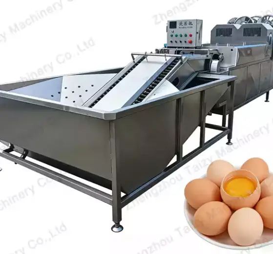 Automatic Egg Washing Machine