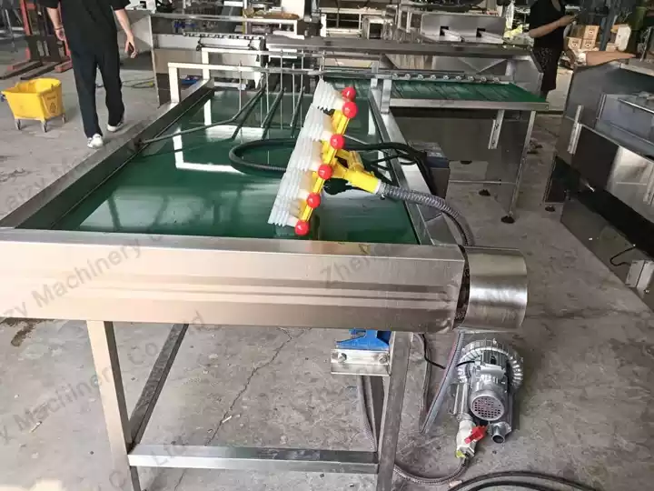 Delivery Of Egg Sorting Machine To Austria 3 Máquina de clasificación de huevos