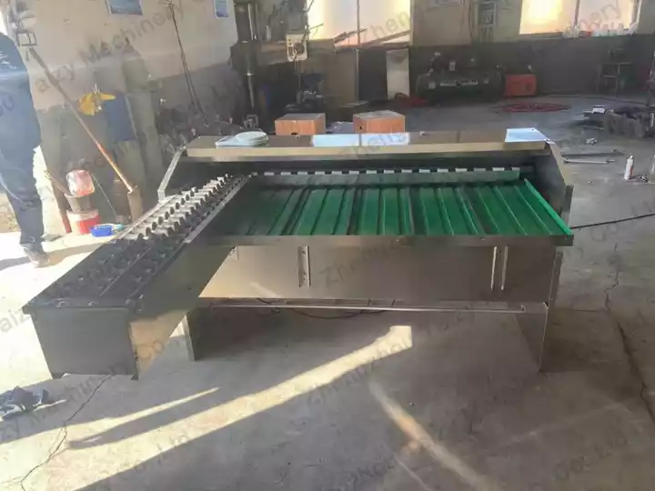 Egg Sorting Grading Machine