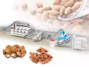 Matières premières pour la ligne de production de décorticage d'amandes