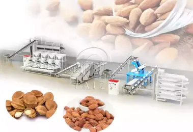 Almond Sorting And Shelling Processing Line