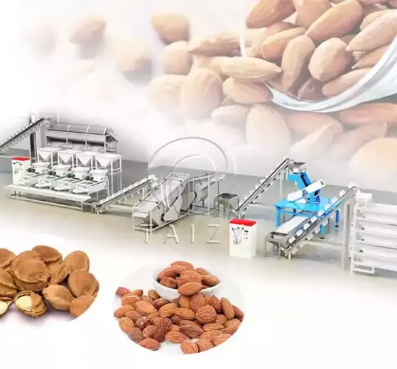 Almond Sorting And Shelling Processing Line