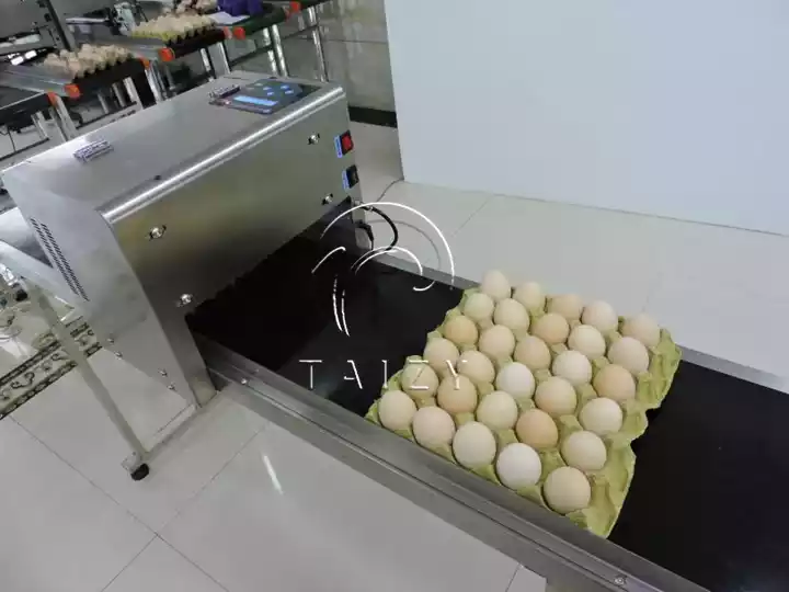 เครื่องพิมพ์ไข่ความเร็วสูง | ระบบทำเครื่องหมายไข่อัตโนมัติ 7 เครื่องเข้ารหัสด้วยหมึกพิมพ์อิ้งค์เจ็ทไข่