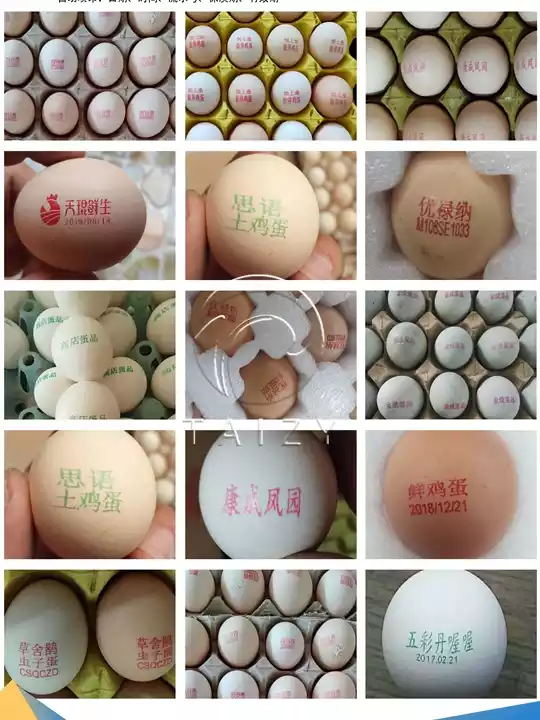 เครื่องพิมพ์ไข่ความเร็วสูง | ระบบทำเครื่องหมายไข่อัตโนมัติ 4 เครื่องพิมพ์ไข่