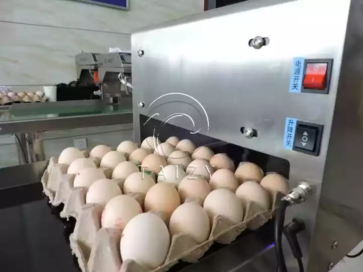 เครื่องพิมพ์ไข่ความเร็วสูง | ระบบทำเครื่องหมายไข่อัตโนมัติ 6 เครื่องพิมพ์อิ้งค์เจ็ทไข่