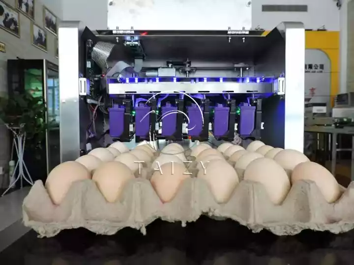 เครื่องพิมพ์ไข่ความเร็วสูง | ระบบทำเครื่องหมายไข่อัตโนมัติ 5 เครื่องทำเครื่องหมายไข่