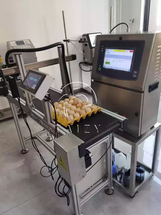 เครื่องพิมพ์ไข่ความเร็วสูง | ระบบทำเครื่องหมายไข่อัตโนมัติ 3 การผลิตโลโก้ไข่