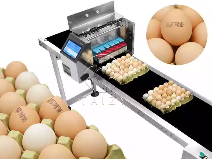 เครื่องพิมพ์ไข่ความเร็วสูง | ระบบทำเครื่องหมายไข่อัตโนมัติ 1 เครื่องพิมพ์ไข่