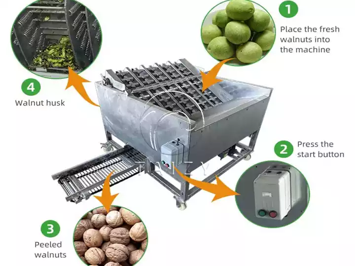 Green Walnut Husk Peeling Machine 2 Walnut Hulling Machine Processing Shows