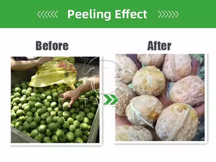 Green Walnut Husk Peeling Machine 3 Walnut Husker Machine Peeling Effect